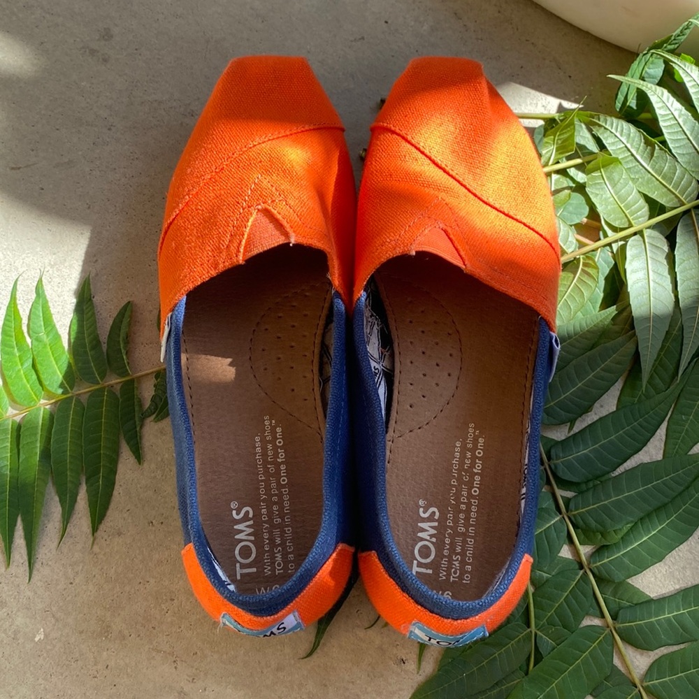 Toms shoes size 6